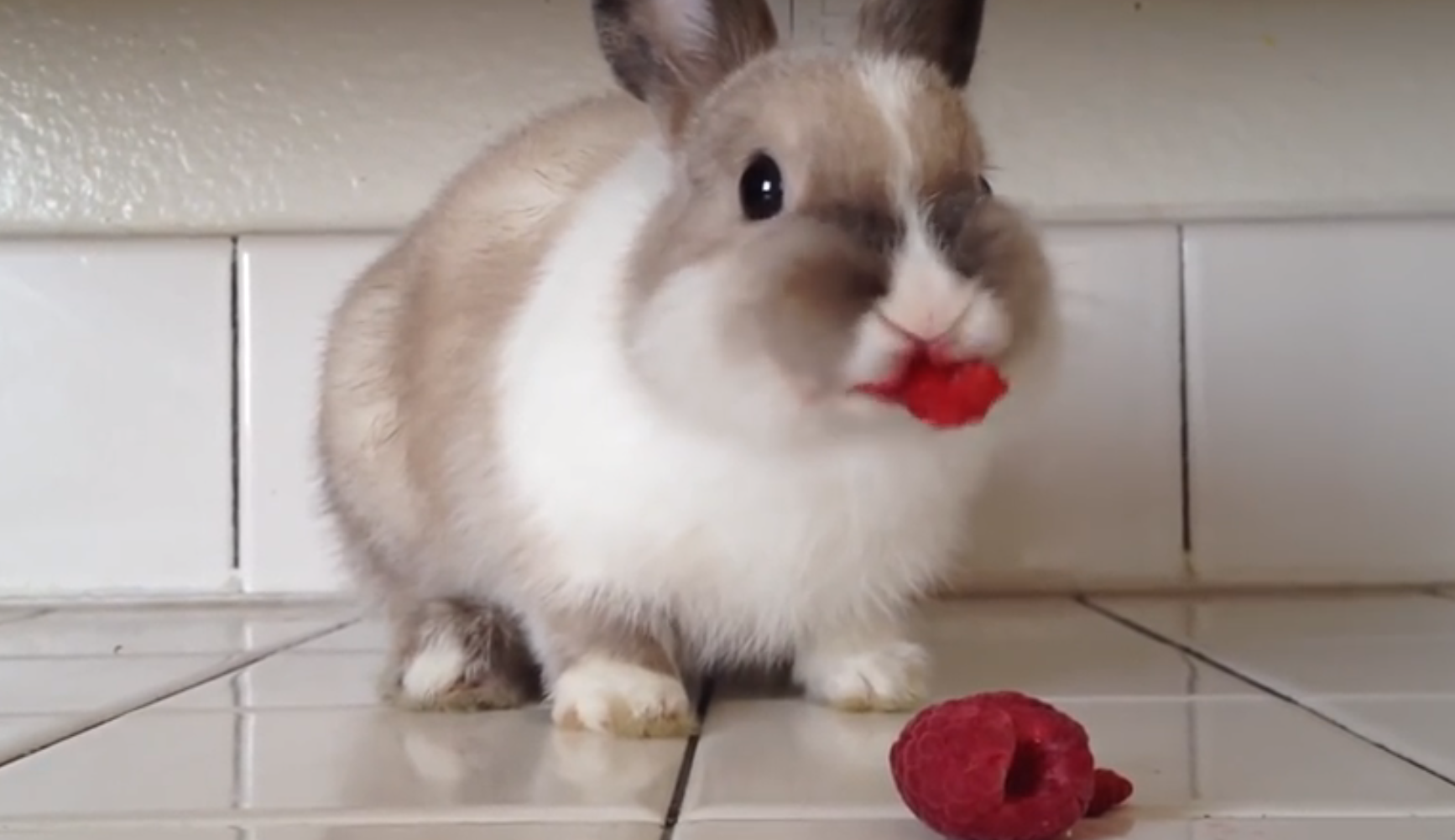 Screen Shot 2014-10-07 at 4.13.09 PM