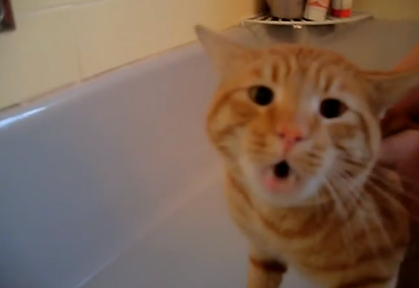 Screen Shot 2014-10-07 at 4.18.20 PM