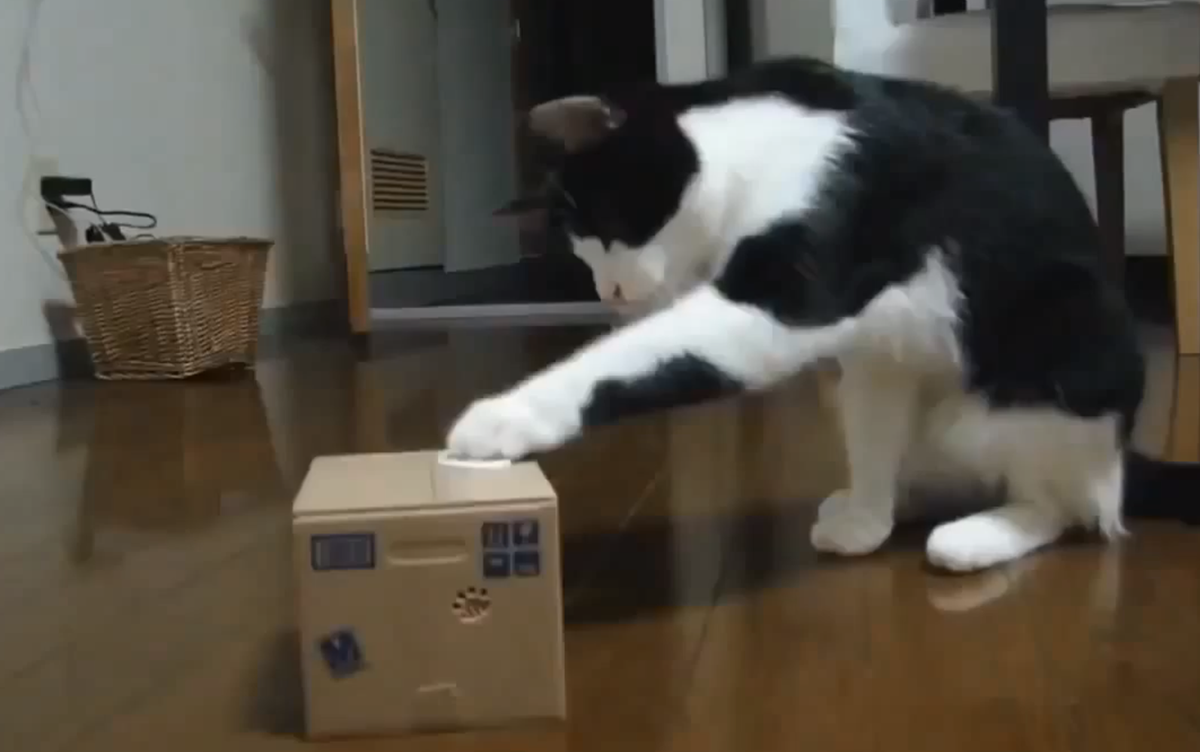 Screen Shot 2014-10-10 at 1.54.07 PM